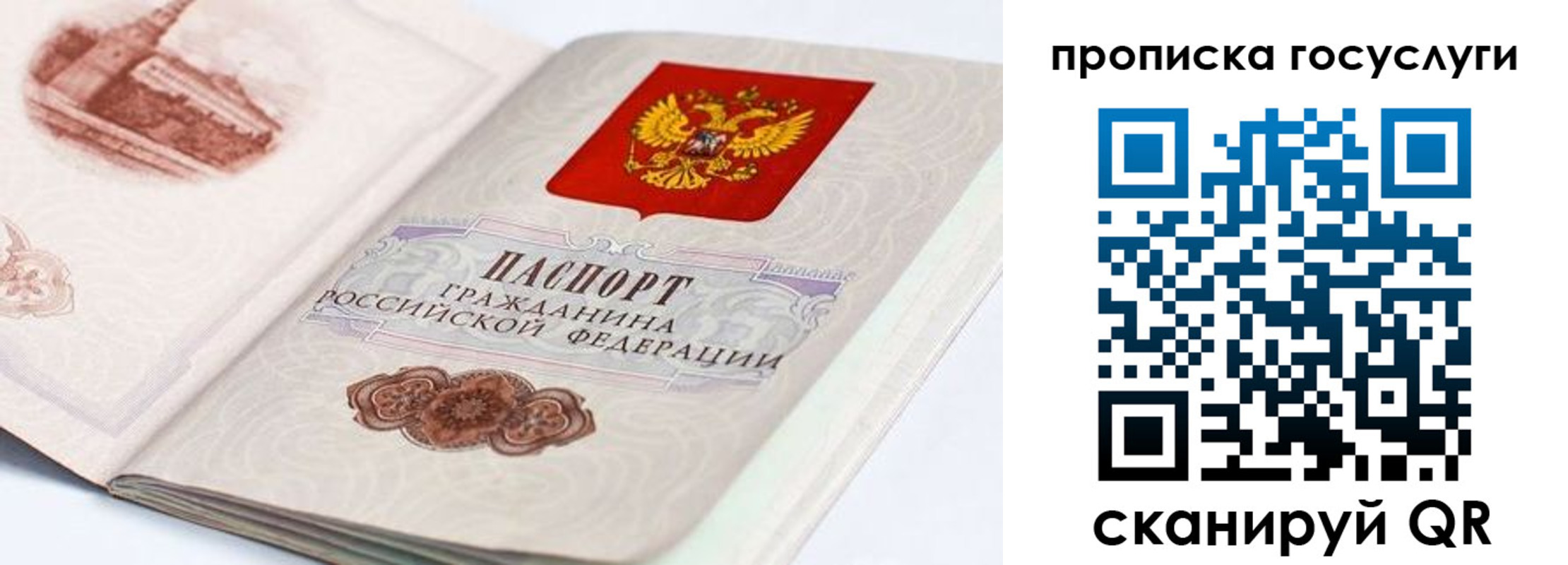 прописка гарантия в Галиче